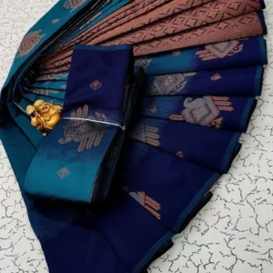 Nilkanth Rk002